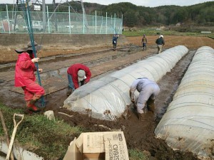 伏せ込み